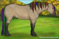 Horse Color:Painted Brown Dun Rabicano