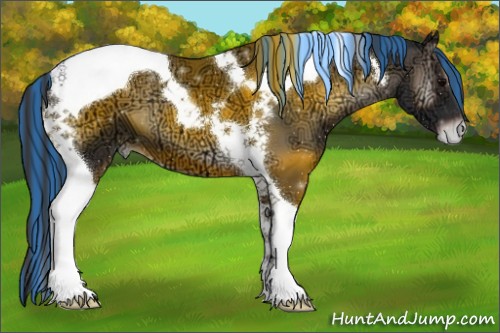 Horse Color:Painted Blue Onyx Ice Tobiano Appaloosa 