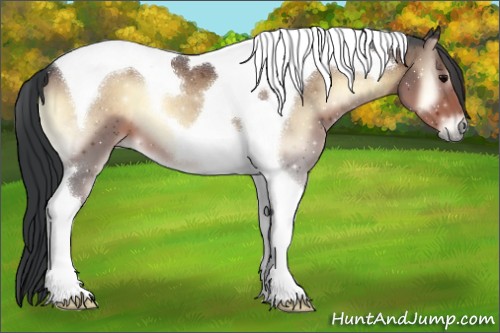 Horse Color:Brown Onyx Tobiano 