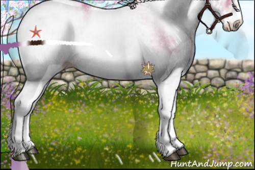 Horse Color:Watercolor White Spotted Brown Pearl Onyx Rabicano