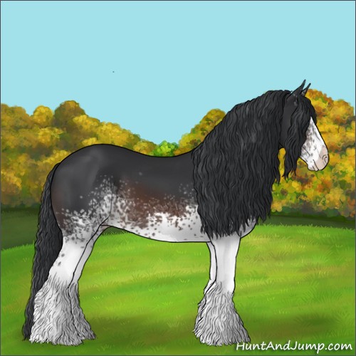 Horse Color:White Spotted Brown 