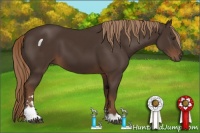 Horse Color:Liver Chestnut Sabino