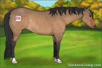 Horse Color:Brown Dun Rabicano