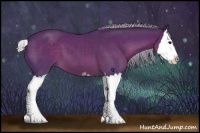 Horse Color:Silver Brown Sabino Splash