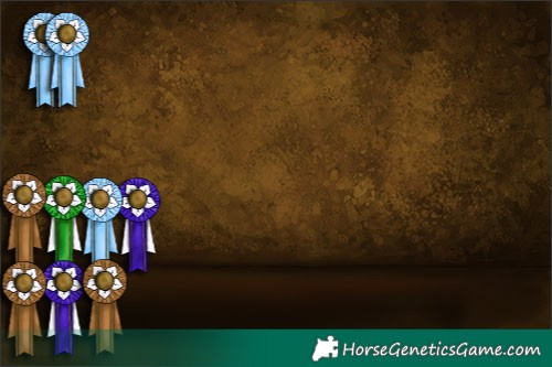 Horse Color:Silver Black Rabicano 