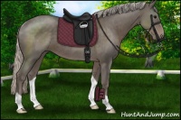 Horse Color:Silver Black Rabicano 