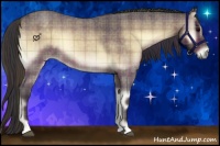 Horse Color:Plaid  Bay Roan Onyx 