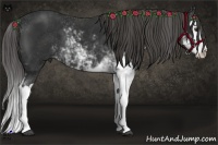 Horse Color:Liver Chestnut Sabino Splash