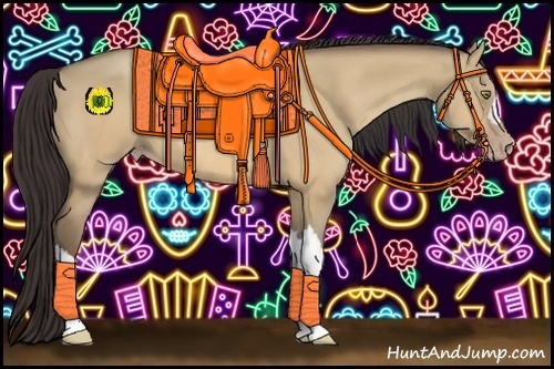 Horse Color:Amber Champagne Dun 