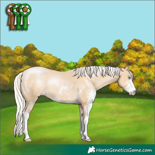 Horse Color:Unknown 
