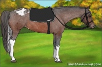 Horse Color:Bay Tobiano Varnish 