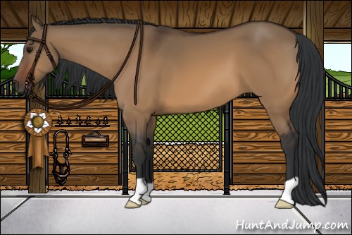 Horse Color:Brown Dun 