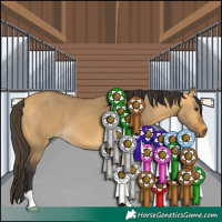 Horse Color:Buckskin Dun 