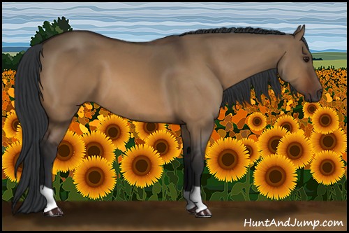Horse Color:Brown Dun 