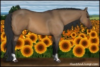Horse Color:Brown Dun