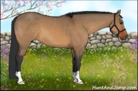 Horse Color:Brown Dun 