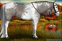 Horse Color:Grullo Splash Tobiano