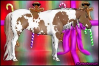 Horse Color:White Spotted Chestnut Tobiano 
