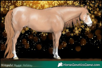 Horse Color:Gold Champagne Sabino