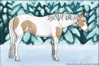 Horse Color:Silver Black Pearl Sabino Splash Tobiano