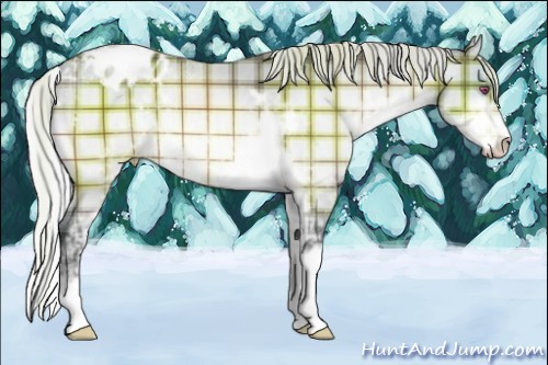 Horse Color:Plaid  Silver Brown Chinchilla Sabino Appaloosa 