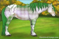Horse Color:Watercolor Plaid  Brown Onyx Varnish 