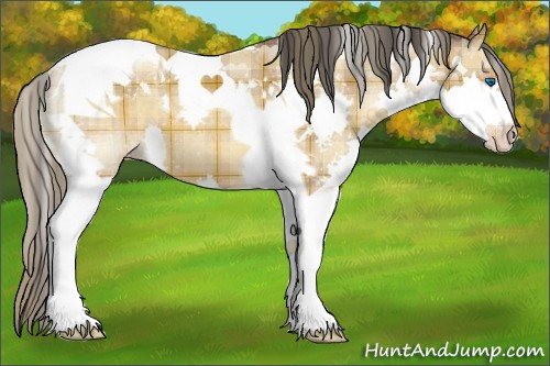 Horse Color:Plaid Sable Champagne Splash Tobiano