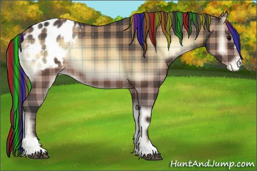 Horse Color:Painted Plaid Brown Onyx Sabino Appaloosa Rabicano
