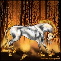 Horse Color:Grullo Pearl Sabino Rabicano 