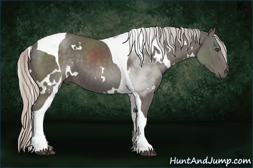 Horse Color:White Spotted Silver Black Tobiano Frame 