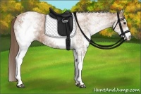 Horse Color:White Spotted Black Pearl Rabicano