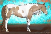 Horse Color:Black Pearl Sabino Tobiano Rabicano 