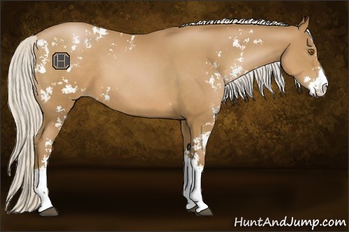Horse Color:Silver Black Pearl Sabino 
