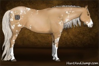 Horse Color:Silver Black Pearl Sabino