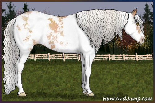 Horse Color:Silver Brown Pearl Sabino 