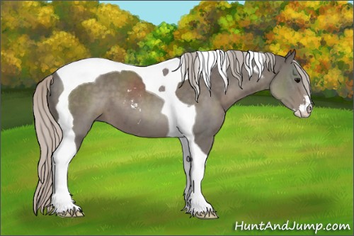 Horse Color:Silver Black Sabino Tobiano 