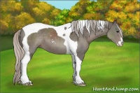 Horse Color:Silver Black Sabino Tobiano