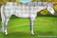 Horse Color:Plaid  White Spotted Silver Grullo Chinchilla Ice Sabino Splash 