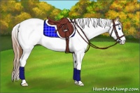 Horse Color:Brown Pearl Dun Splash Tobiano