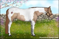 Horse Color:Brown Pearl Tobiano Rabicano