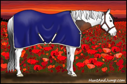 Horse Color:Brown Splash Tobiano 