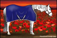 Horse Color:Brown Splash Tobiano