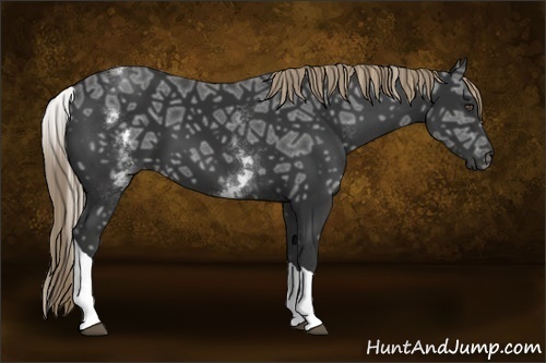 Horse Color:White Spotted Liver Chestnut Ice Tobiano