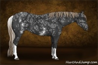 Horse Color:White Spotted Liver Chestnut Ice Tobiano