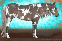 Horse Color:White Spotted Silver Black 