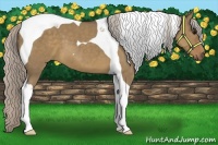 Horse Color:Silver Grullo Tobiano 