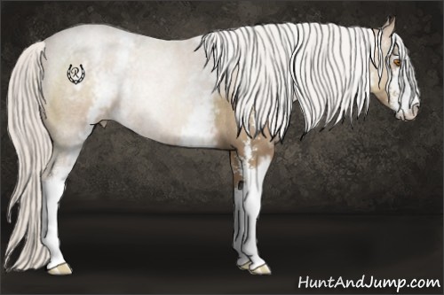 Horse Color:White Spotted Silver Black Pearl Sabino Rabicano 