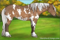 Horse Color:White Spotted Silver Brown