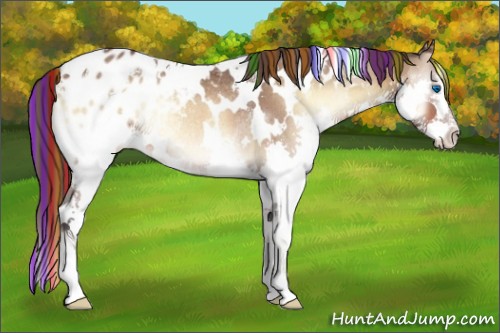 Horse Color:Painted White Spotted Bay Onyx Splash Varnish Rabicano