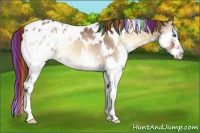 Horse Color:Painted White Spotted Bay Onyx Splash Varnish Rabicano 